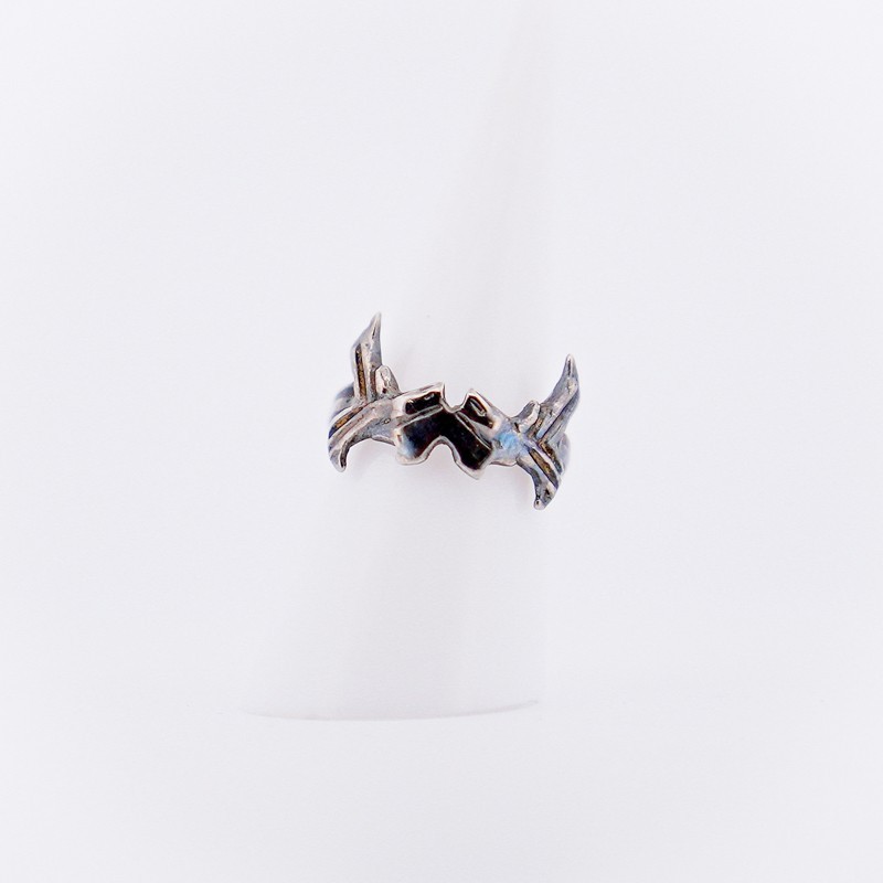 Le roi et la bague hotsell