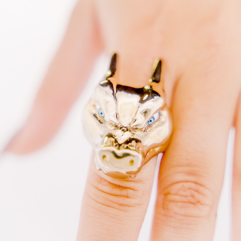 Nous Sommes La Tête Du Monstre Dragon De Feu / Bague