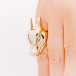 Nous Sommes La Tête Du Monstre Dragon De Feu / Bague