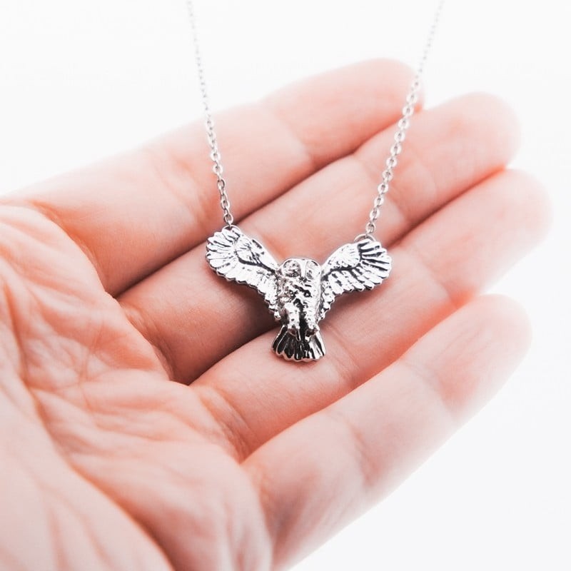 Hulotte Strix aluco Chat-huant oiseau Strigidae rapace nocturne Hiboux Edwige Hulotte Strix aluco Chat-huant oiseau Strigidae rapace nocturne Hiboux Edwige