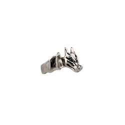 Nous Sommes Le Monstre Dragon De Feu / Bague