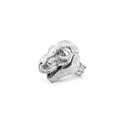 Nous Sommes Le T-Rex / Bague