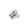 Nous Sommes Le T-Rex / Bague