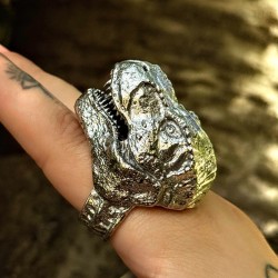 Nous Sommes Le T-Rex / Bague